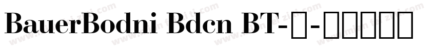 BauerBodni Bdcn BT-普字体转换